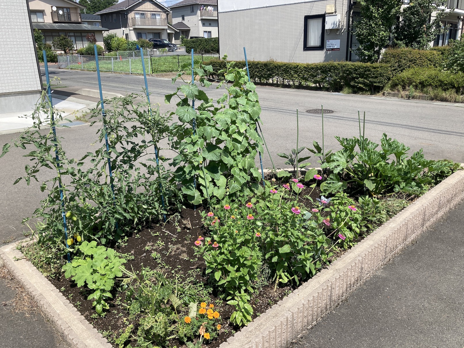 住宅型有料老人ホーム